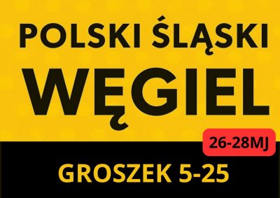 POLSKI GROSZEK : 5-25 , 26-28 MJ - BEZPŁATNA DOSTAWA
