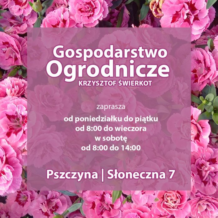 Gospodarstwo Ogrodnicze Krzysztof Świerkot Pszczyna